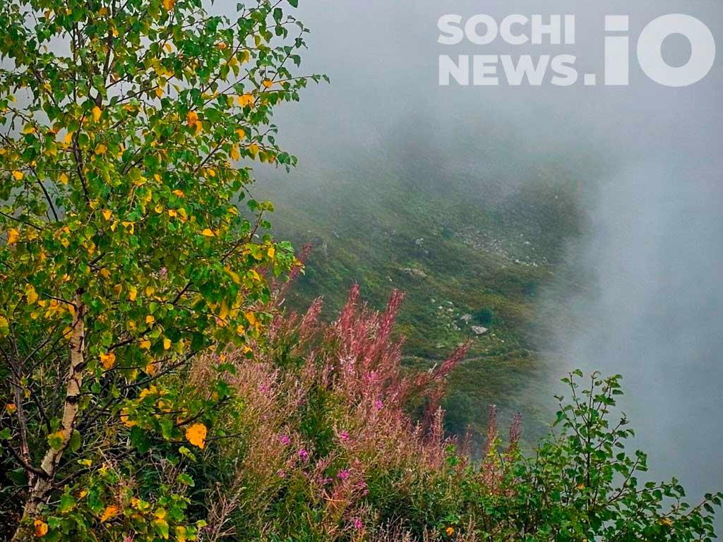 Туман, дожди и гроза вновь ожидаются в Сочи