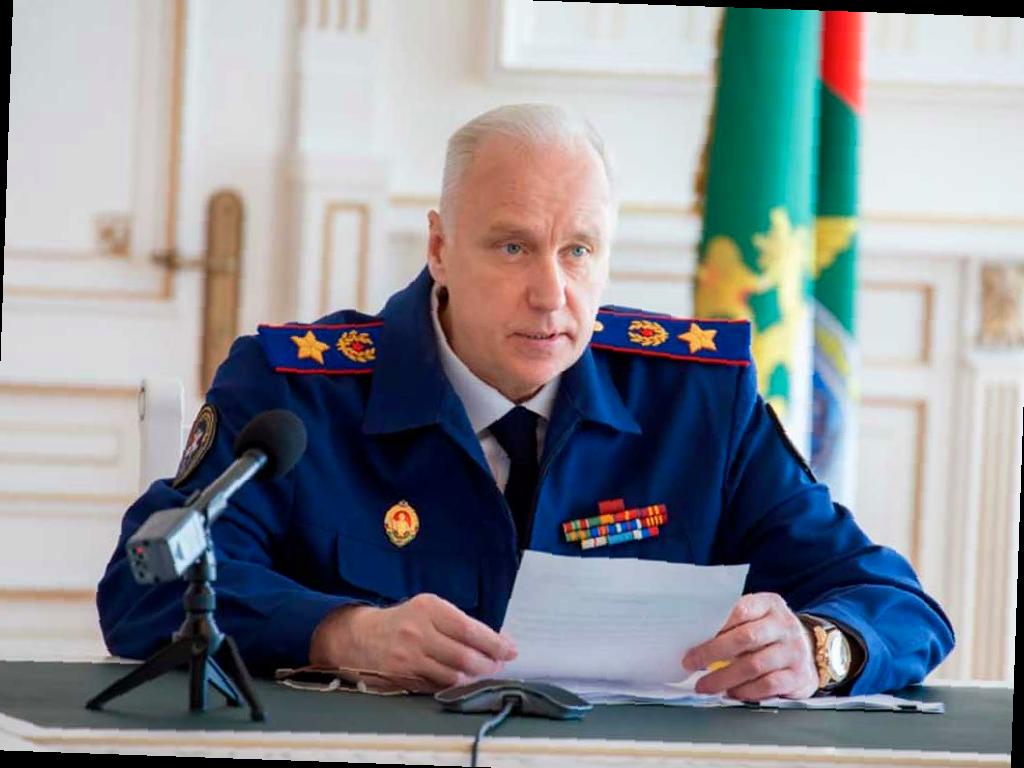 Бастрыкин проверит информацию о нападении собаки на ребёнка в ЖК «Моравия» в Сочи