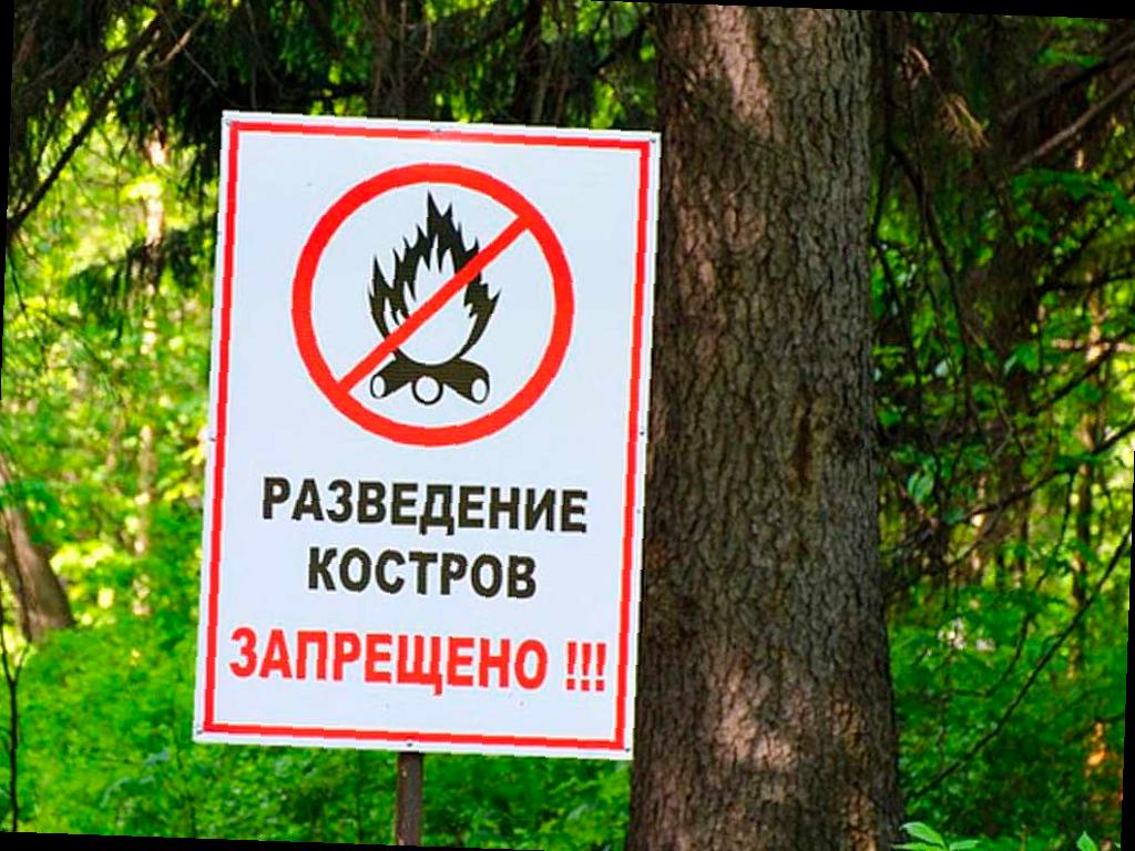 В Сочи объявлена пожароопасность 4 класса