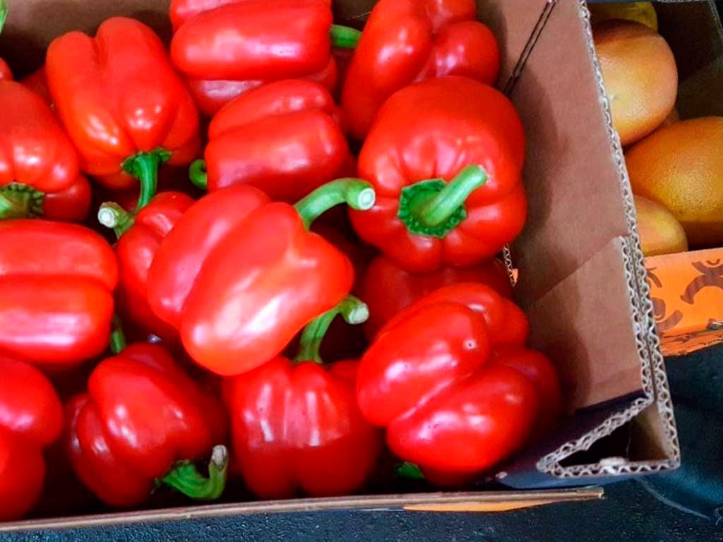 На Кубани нашли более 5 тонн зараженных овощей