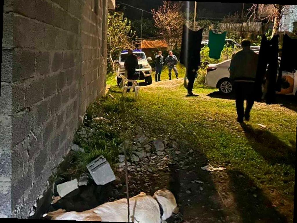 Алабай в Сочи напал на двоих детей