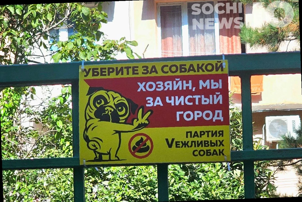 В России вводят новые стандарты для выгула собак