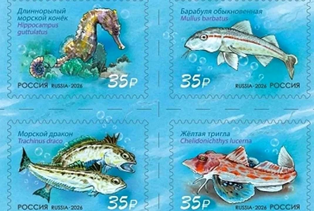 Почта России выпустила серию марок с обитателями Черного моря
