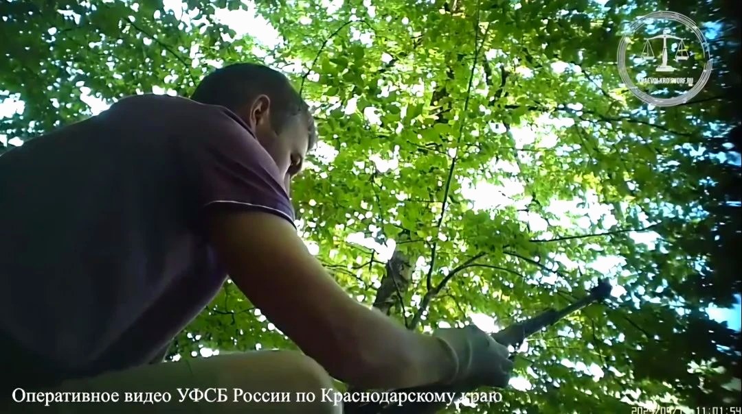 Приговор в Сочи: 6 лет колонии за хранение и сбыт оружия