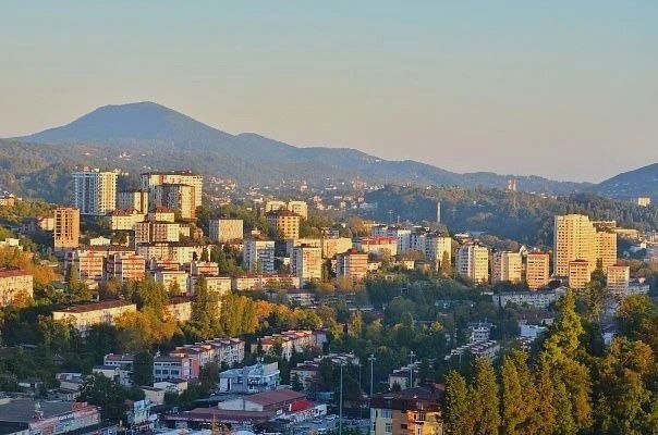 Контроль за торговлей и парковкой в Сочи принес более 23,5 млн рублей