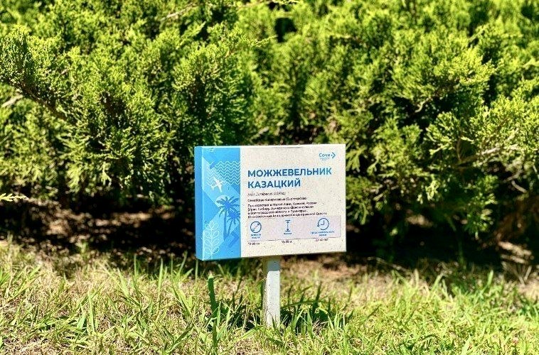 Уникальный тропический сад открыт в аэропорту Сочи